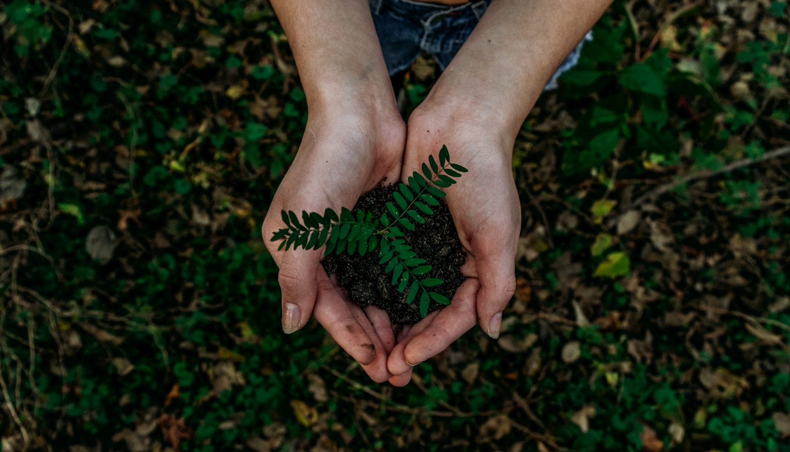 Living Soil System — Master Kit